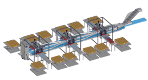 Variety Pack Manual Infeed